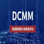 數(shù)據(jù)管理能力成熟度模型DCMM評(píng)估