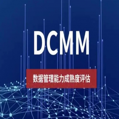 數據管理能力成熟度模型DCMM評估